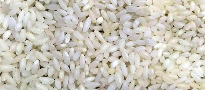 KaliJeera NonBasmati Rice