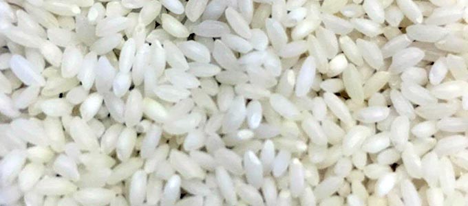Kali Jeera Nonbasmati Rice